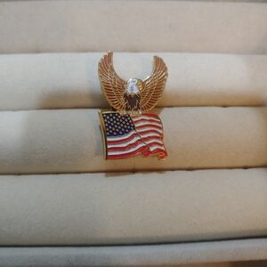 American Flag and Eagle Pin